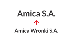 2016 - Изменение названия: Amica S.A. вместо Amica Wronki S.A.